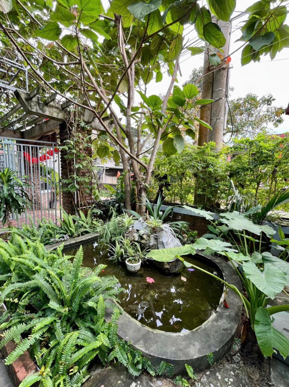 An An Homestay Bungalow Phong Nha Extérieur photo